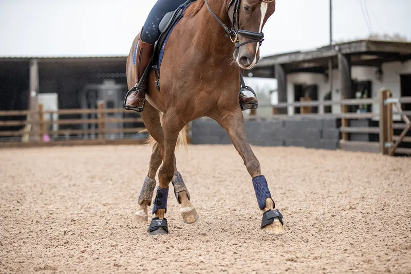 Equilibrium Tri-Zone All Sports Boots - NAVY-2